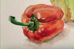Anika-Reddy-ASPT-3300_BellPepperFINAL_Watercolor