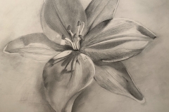 MIMI-Graphite-Pencil-Flower-scaled